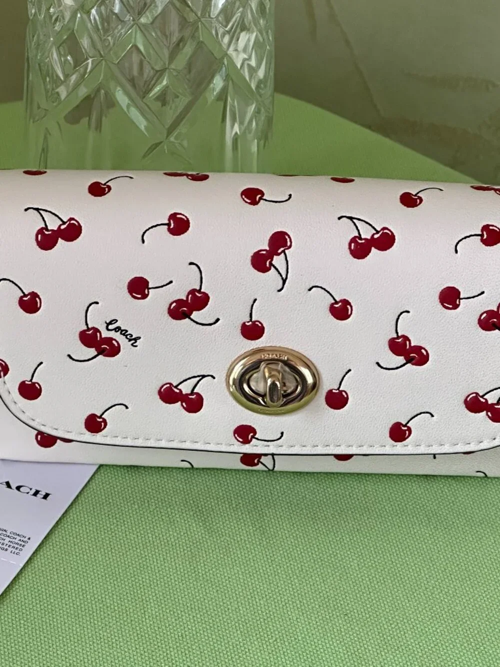 COACH SUNGLASS CASE W/ CHERRY PRINT:NWT CHALK/MULTI CFA49